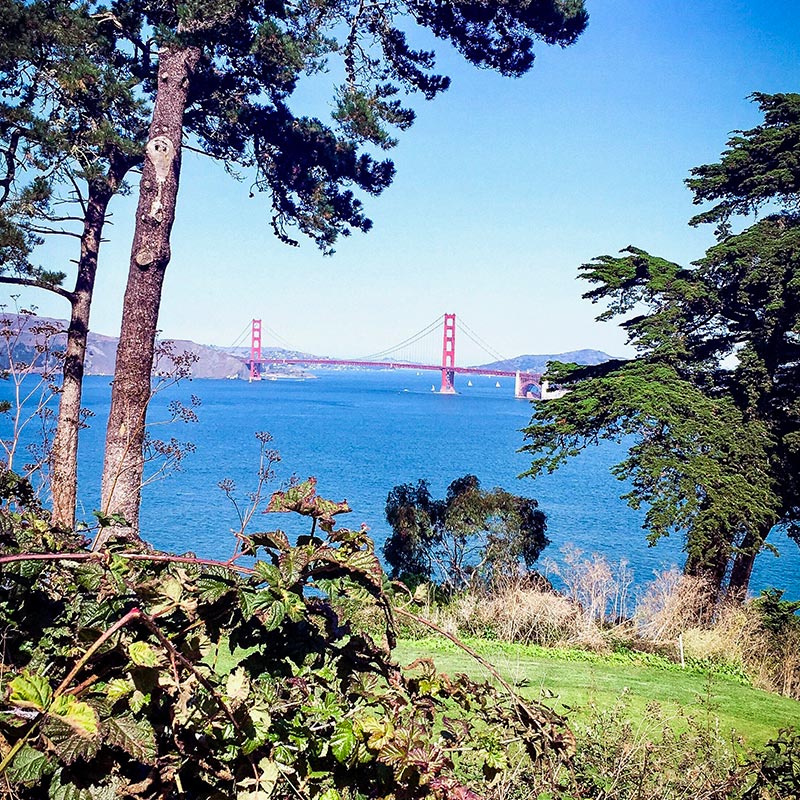 carnet de voyages san Francisco, sathyne